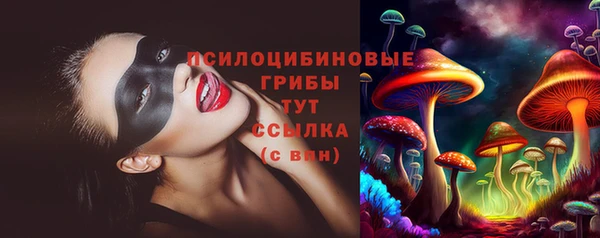 амф Заводоуковск