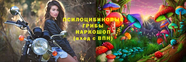 первитин Заволжск