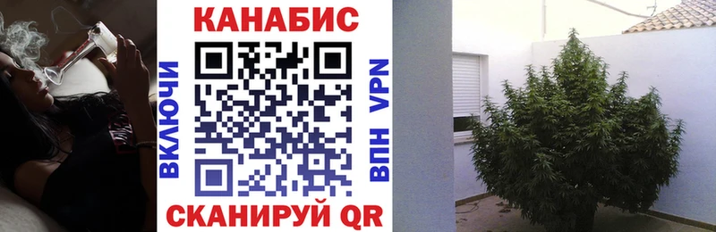Купить закладки Заводоуковск Шишки марихуана ГИДРОПОН